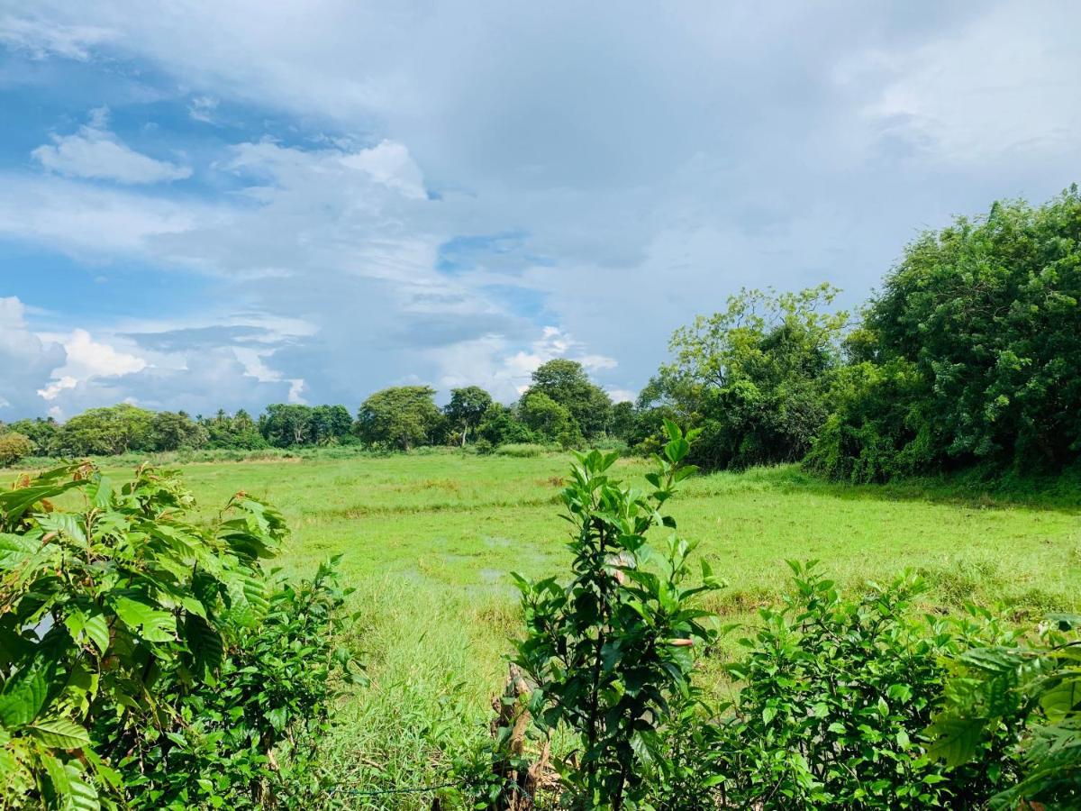 Coco Garden Holiday Homes Anuradhapura Ngoại thất bức ảnh